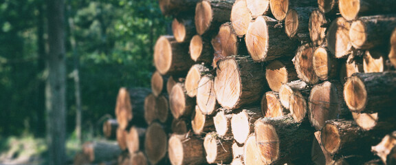 Veilig en Duurzaam hout in de wandspellen en kinderhoeken van IKC